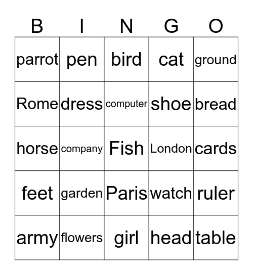 Nouns Bingo Card