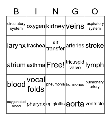 Respiratory & Circulatory System Bingo Card