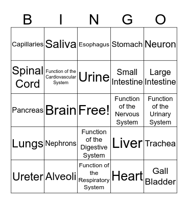 Organ Systems BINGO Card