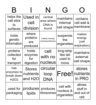 Cell Structures (Organelles) Bingo Card