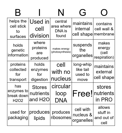 Cell Structures (Organelles) Bingo Card