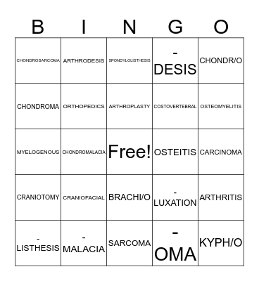 SKELETAL MEDICAL TERMS Bingo Card