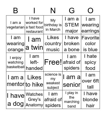 Mentor/Mentee B I N G O Bingo Card