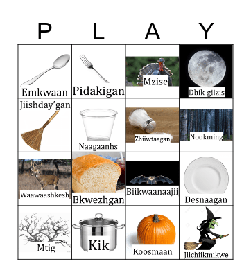 Binaakwii Giizis Bingo Card