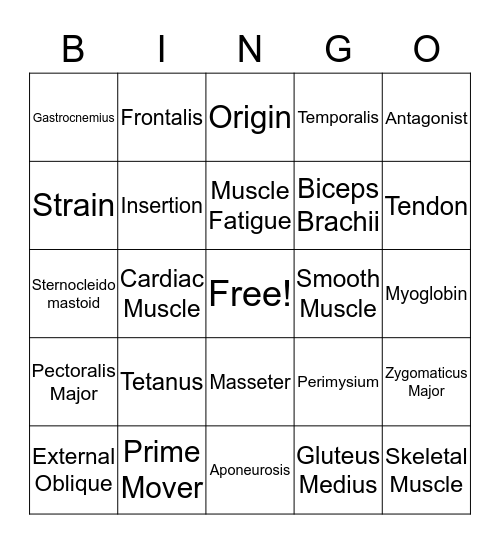 Chapter 9 - The Muscular System  Bingo Card