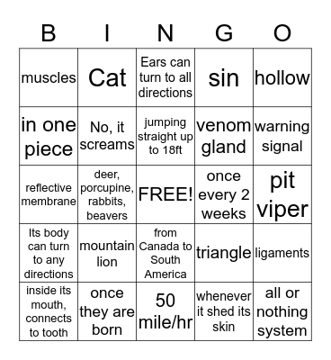 Creation Proclaims: Cougar & Rattlesnake Bingo Card