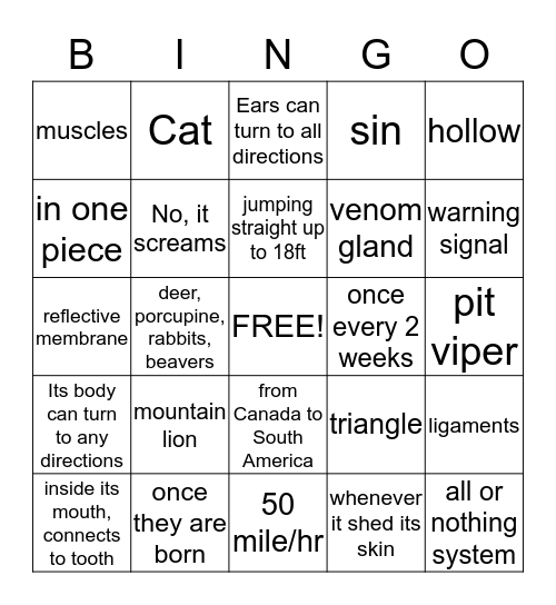 Creation Proclaims: Cougar & Rattlesnake Bingo Card