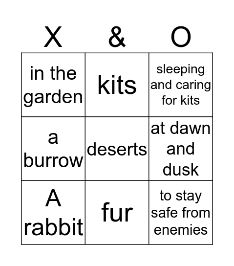 Rabbits' Cozy Homes Bingo Card