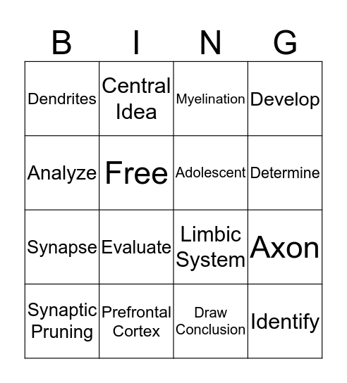 Module 4 Vocabulary Words Bingo Card