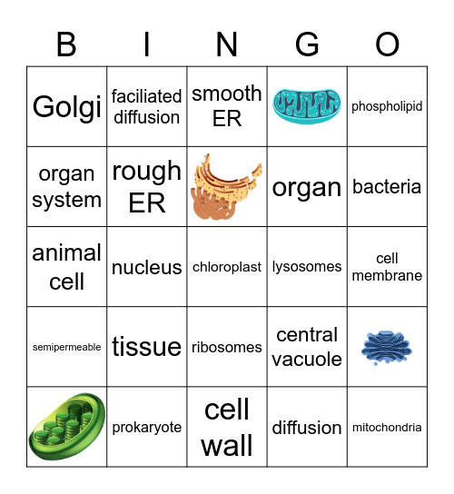 Cell Structure and Function BINGO Card