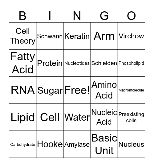 Cell Theory and Macromolecules Bingo Card