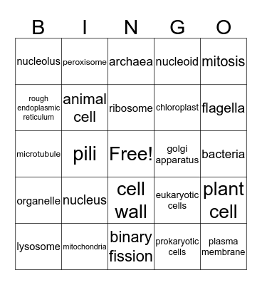 Cells Bingo Card