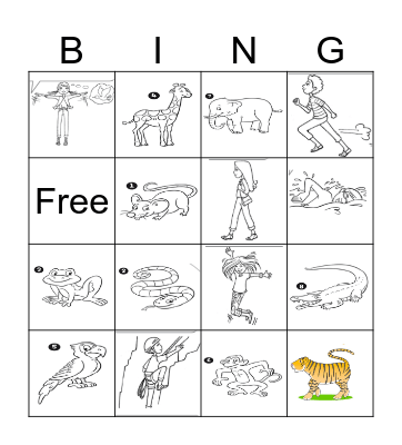 Animals Bingo Card