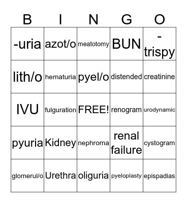 Urinary System Bingo Card