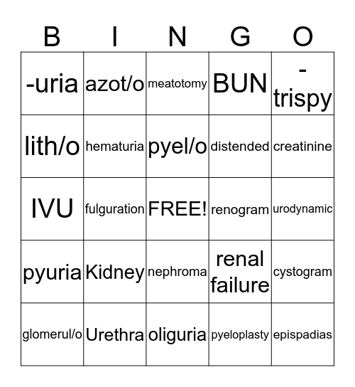 Urinary System Bingo Card