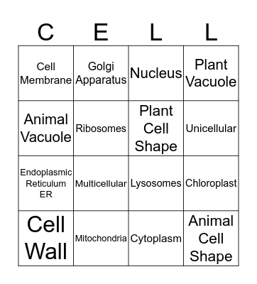 Cells Bingo Card