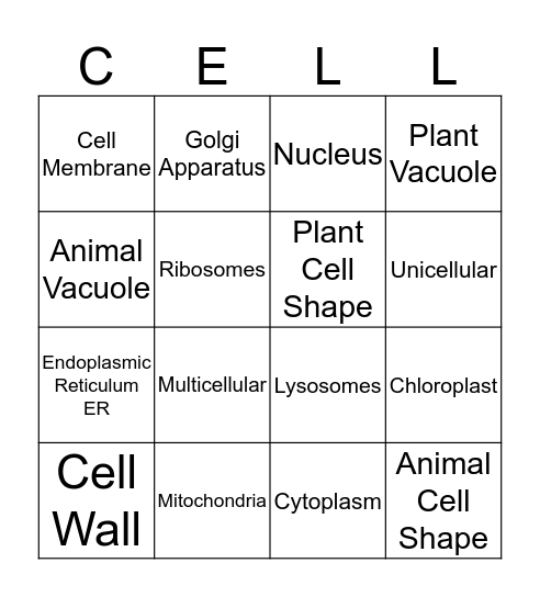 Cells Bingo Card