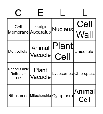 Cells Bingo Card