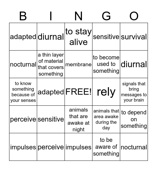 Animal Eyes Vocabulary Bingo Card