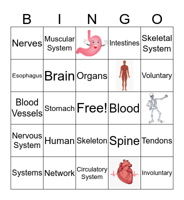 Human Body Systems Bingo Card