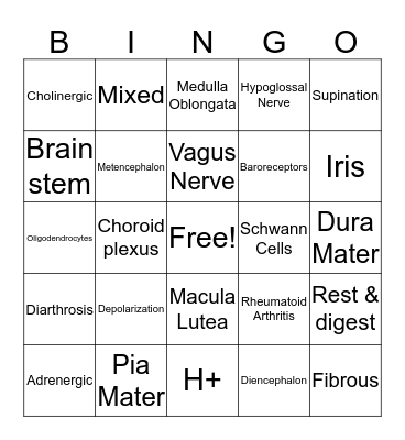 Exam 2 Review  Bingo Card