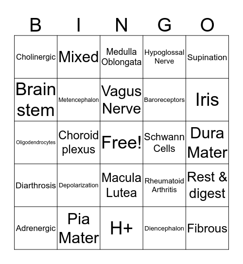 Exam 2 Review  Bingo Card
