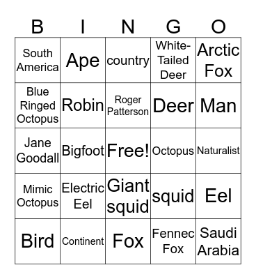 Common and Proper Nouns Bingo Card