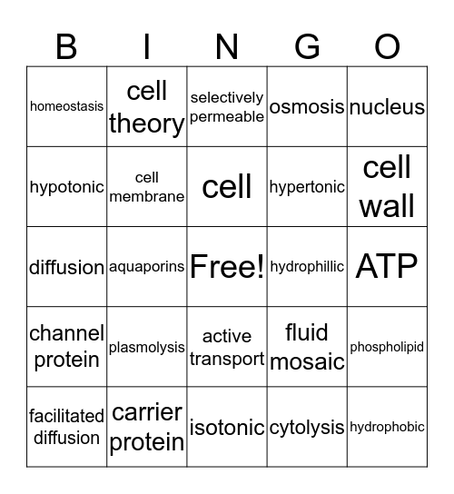 Cell Membrane Bingo Card