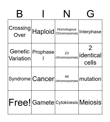 Meiosis vs. Mitosis Bingo Card