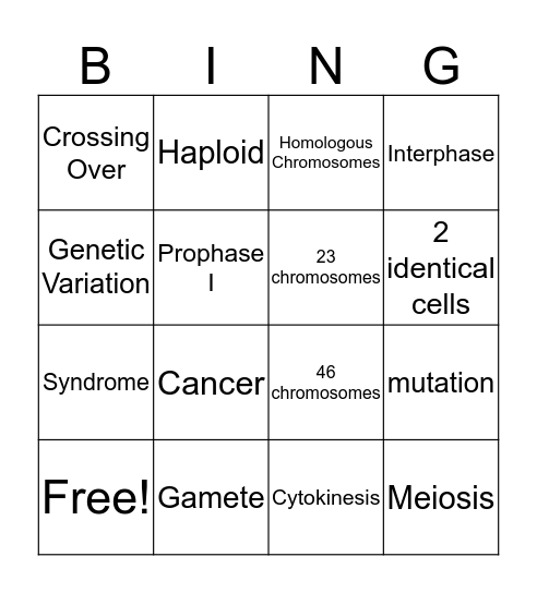 Meiosis vs. Mitosis Bingo Card
