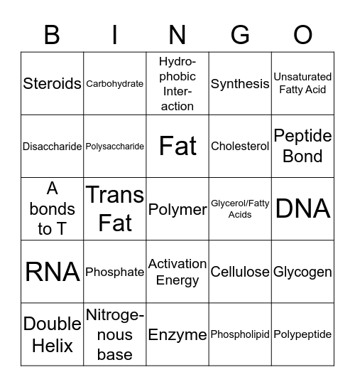 Biomolecule Bingo Card