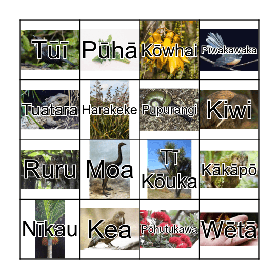 Te Waonui a Tāne Bingo Card