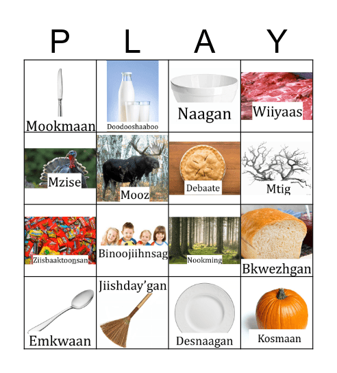 Binaakwii Giizis Bingo! Bingo Card