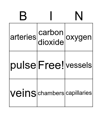 The Heart Vocabulary Bingo Card