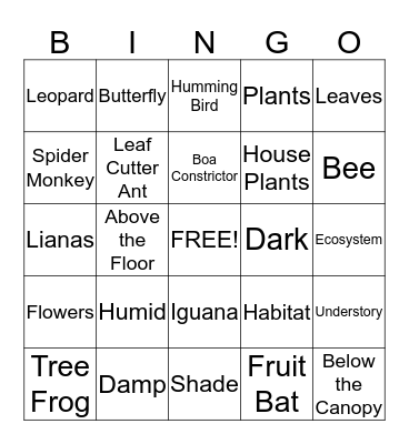 Rainforest Understory Bingo Card