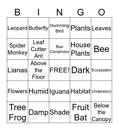 Rainforest Understory Bingo Card
