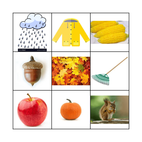 Autumn words Bingo Card