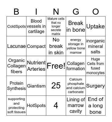 Skeletal system  Bingo Card