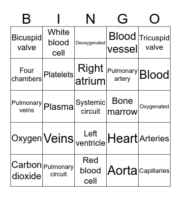 Circulatory System Bingo Card