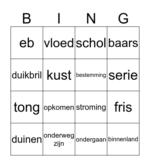 Woordenschat Bingo Card