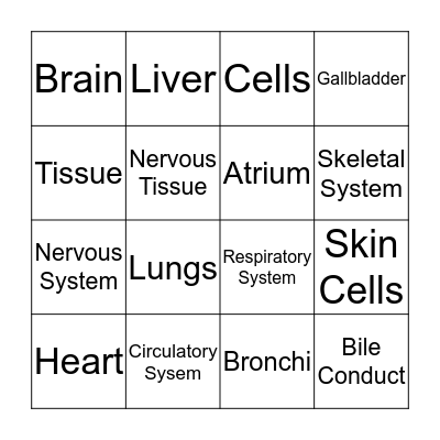 Organ Bingo Card