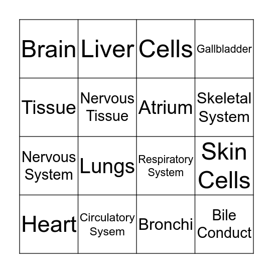 Organ Bingo Card