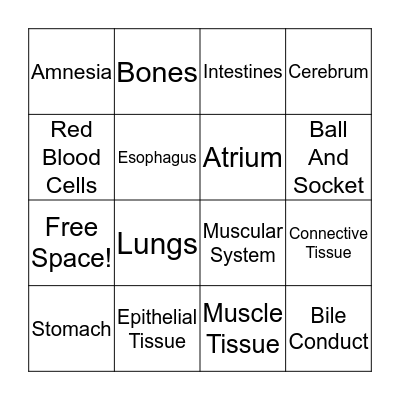 Organ Bingo Card