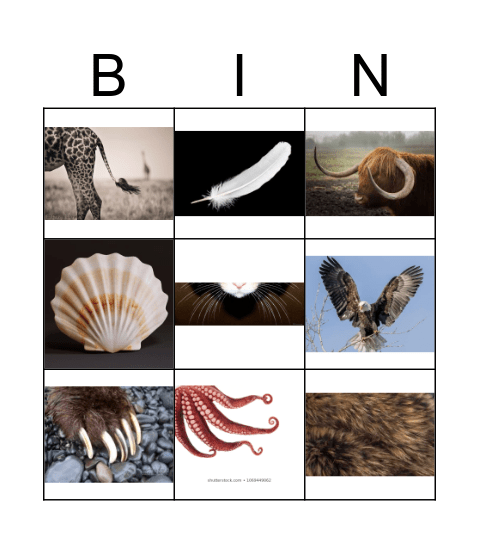 Animal Parts Bingo Card