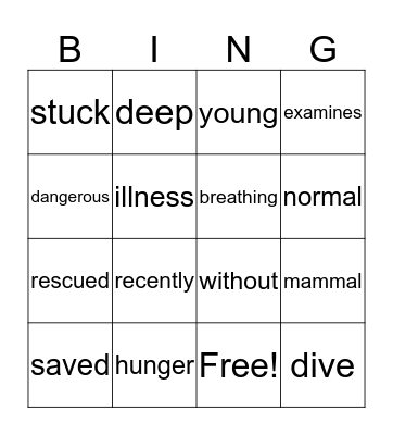 Vocabulary Bingo Card