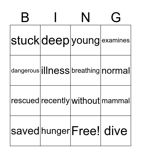 Vocabulary Bingo Card