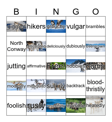 Girl Who Loved Tom Gordon First Inning Bingo Card