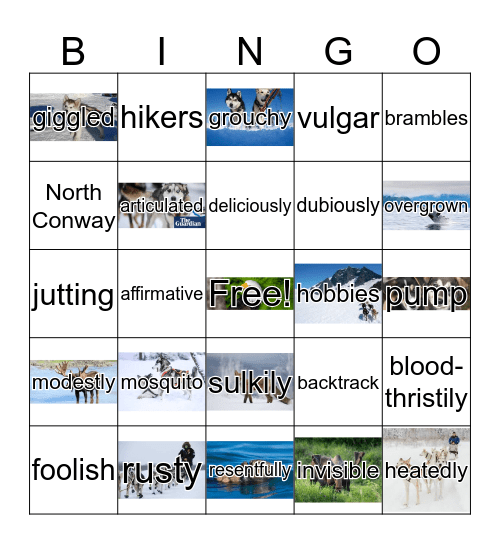 Girl Who Loved Tom Gordon First Inning Bingo Card