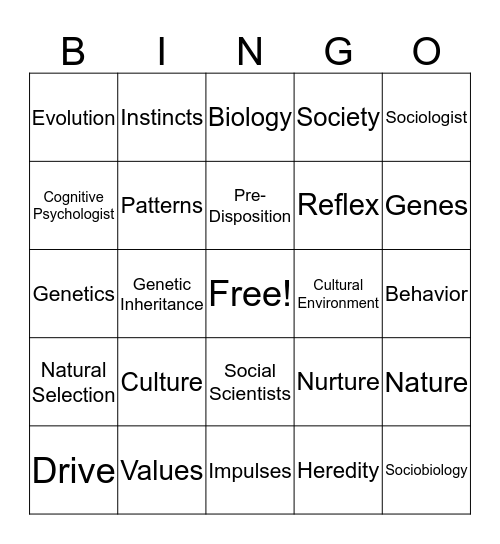 Culture  Bingo Card