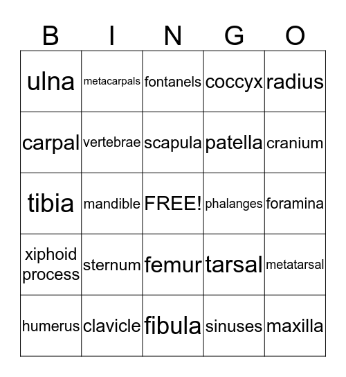 Skeletal System Bingo Card